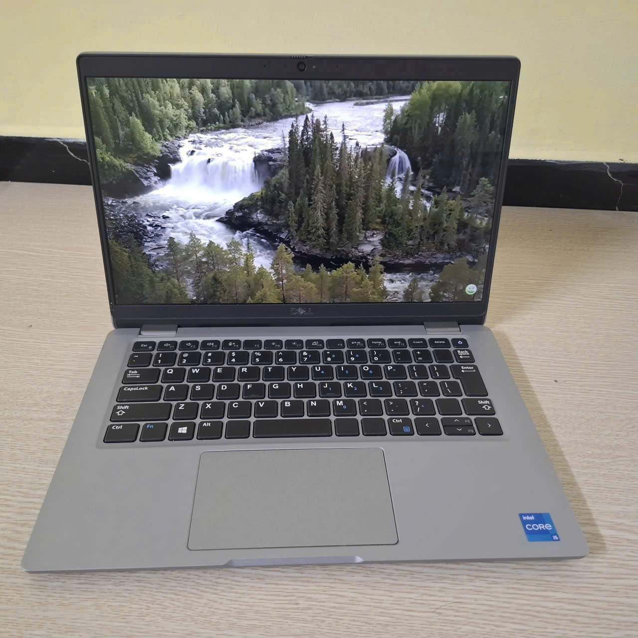laptop dell
