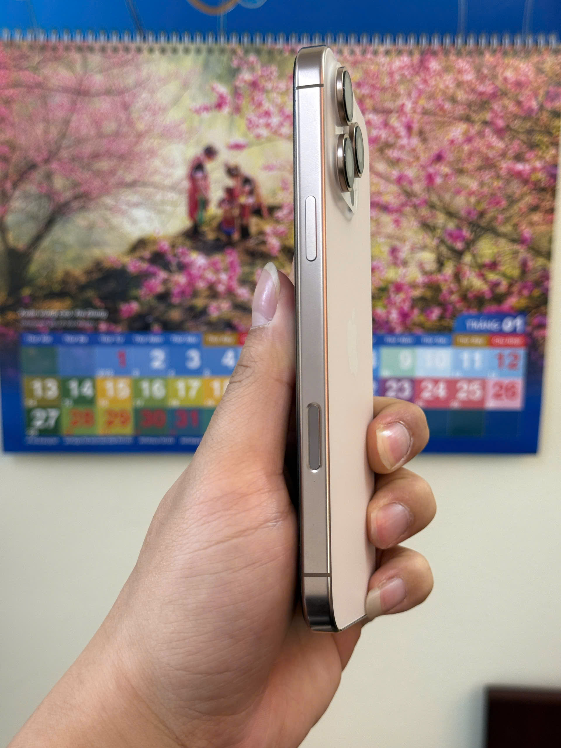 điện thoại iphone 16 prm 256gb - Hình ảnh 5